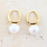 Gold Nova Earrings